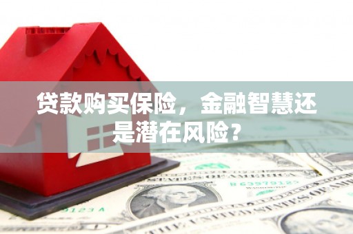 涿鹿贷款购买保险，金融智慧还是潜在风险？