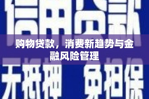涿鹿购物贷款，消费新趋势与金融风险管理