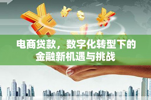 涿鹿电商贷款，数字化转型下的金融新机遇与挑战
