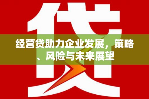 涿鹿经营贷助力企业发展，策略、风险与未来展望