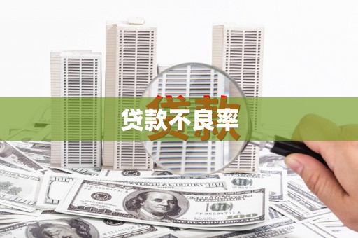 涿鹿贷款不良率