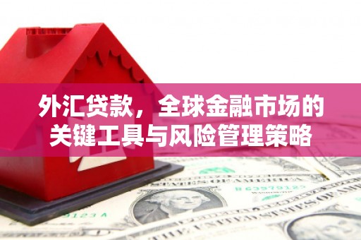 涿鹿外汇贷款，全球金融市场的关键工具与风险管理策略