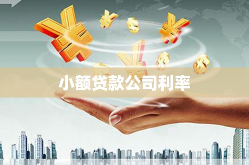 涿鹿小额贷款公司利率