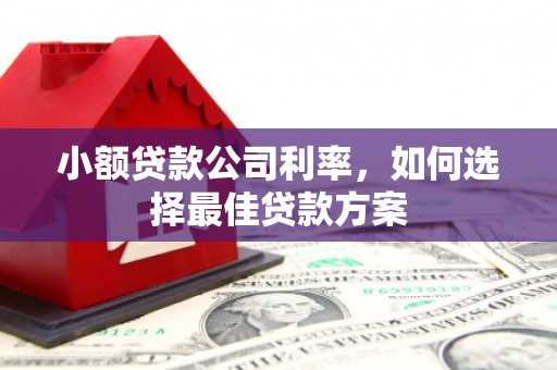 涿鹿小额贷款公司利率，如何选择最佳贷款方案