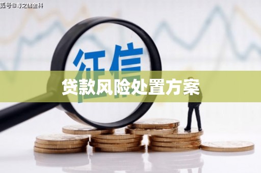 涿鹿贷款风险处置方案
