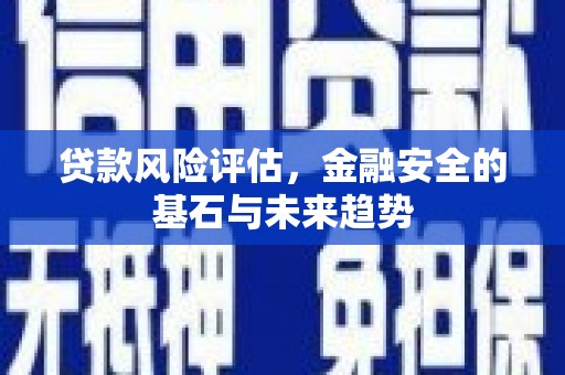 涿鹿贷款风险评估，金融安全的基石与未来趋势