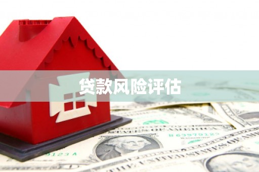 涿鹿贷款风险评估