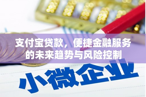 涿鹿支付宝贷款，便捷金融服务的未来趋势与风险控制