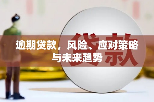 涿鹿逾期贷款，风险、应对策略与未来趋势