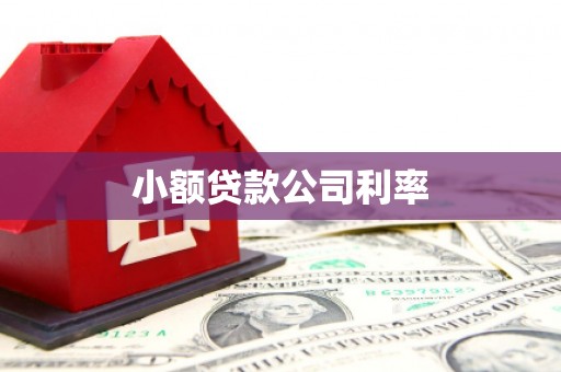 涿鹿小额贷款公司利率