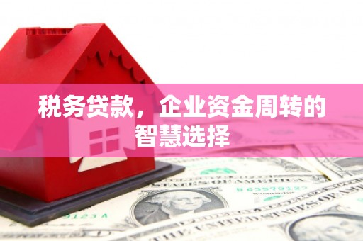 涿鹿税务贷款，企业资金周转的智慧选择
