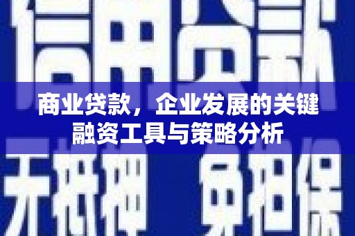 涿鹿商业贷款，企业发展的关键融资工具与策略分析