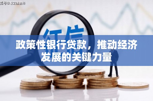 涿鹿政策性银行贷款，推动经济发展的关键力量