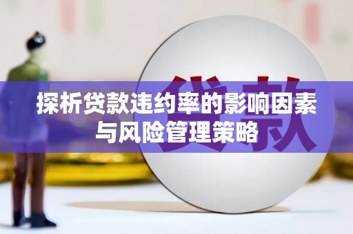 涿鹿探析贷款违约率的影响因素与风险管理策略