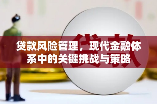 涿鹿贷款风险管理，现代金融体系中的关键挑战与策略