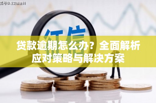 涿鹿贷款逾期怎么办？全面解析应对策略与解决方案