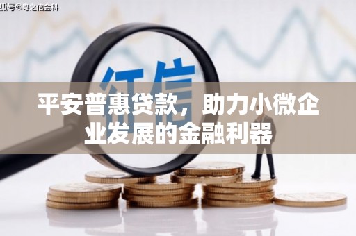 涿鹿平安普惠贷款，助力小微企业发展的金融利器