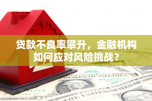 涿鹿贷款不良率攀升，金融机构如何应对风险挑战？