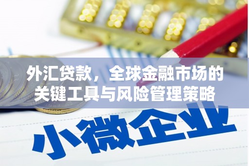 涿鹿外汇贷款，全球金融市场的关键工具与风险管理策略