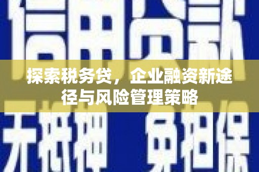 涿鹿探索税务贷，企业融资新途径与风险管理策略