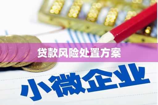 涿鹿贷款风险处置方案