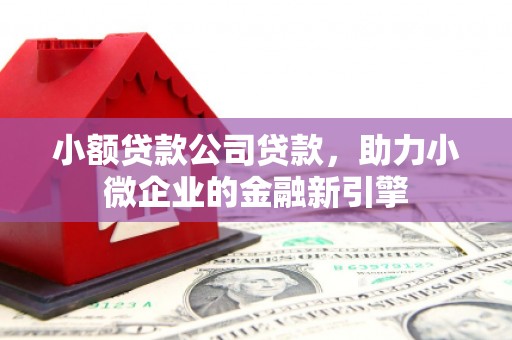 涿鹿小额贷款公司贷款，助力小微企业的金融新引擎