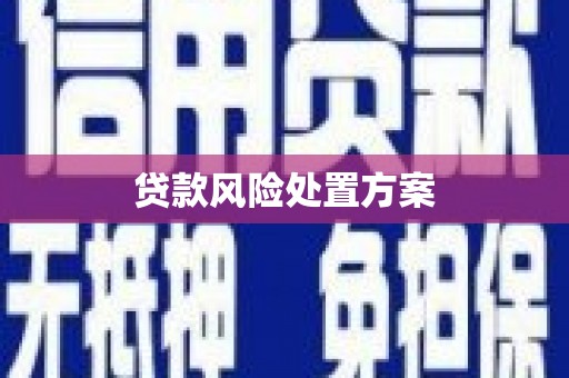 涿鹿贷款风险处置方案