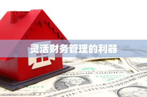 涿鹿灵活财务管理的利器