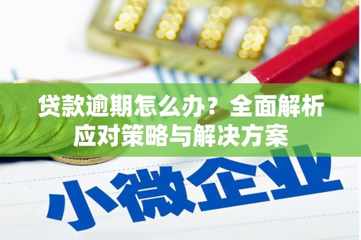 涿鹿贷款逾期怎么办？全面解析应对策略与解决方案