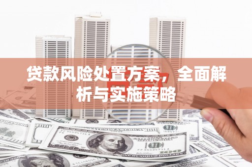 涿鹿贷款风险处置方案，全面解析与实施策略