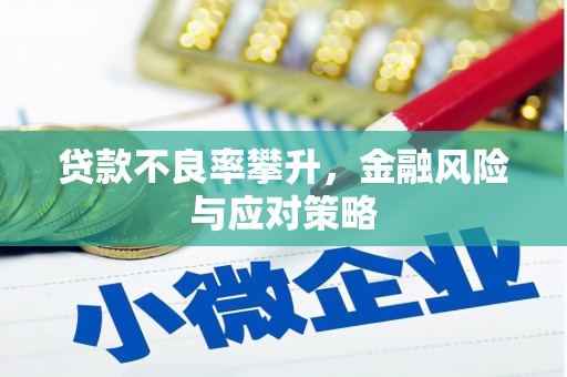 涿鹿贷款不良率攀升，金融风险与应对策略