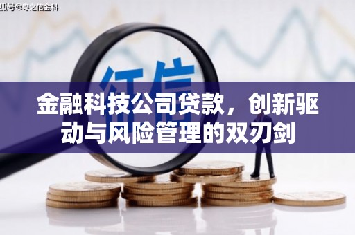 涿鹿金融科技公司贷款，创新驱动与风险管理的双刃剑
